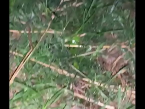 Outdoors Morning Pee